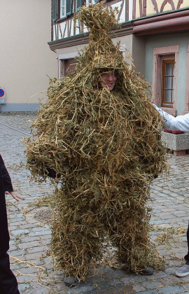 Strohb&auml;r Empfingen 